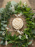 Mojito Lotion Bar (Peppermint/Eucalyptus/Jasmine)
